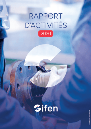 Rapport d'activités 2020